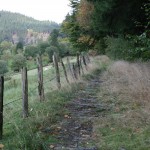 grenzweg