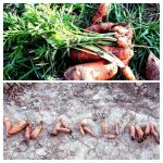 Hunger_Satt_strassenexerzitien.de